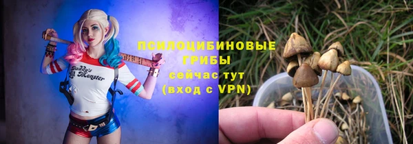бошки Аркадак