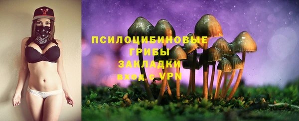 эйфоретик Алексеевка