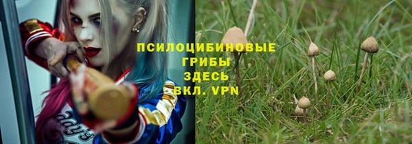 герыч Арсеньев