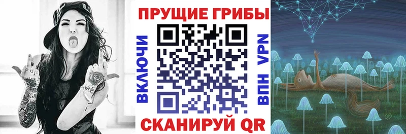 Псилоцибиновые грибы мицелий  Коряжма 