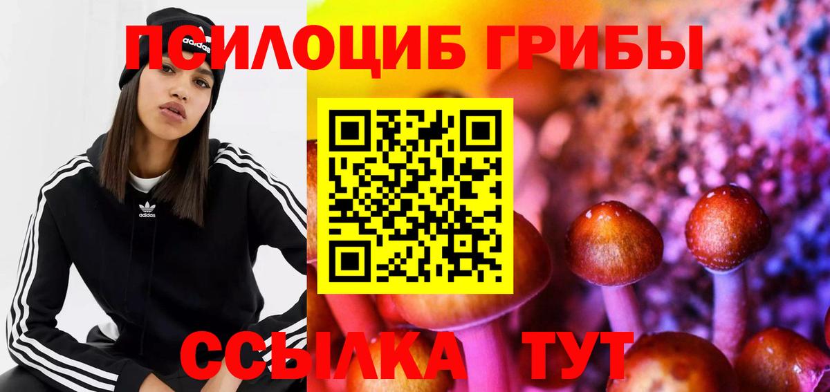 Коряжма  Псилоцибиновые грибы Psilocybine cubensis  Вход с VPN  Псилоцибиновые грибы MAGIC MUSHROOMS 