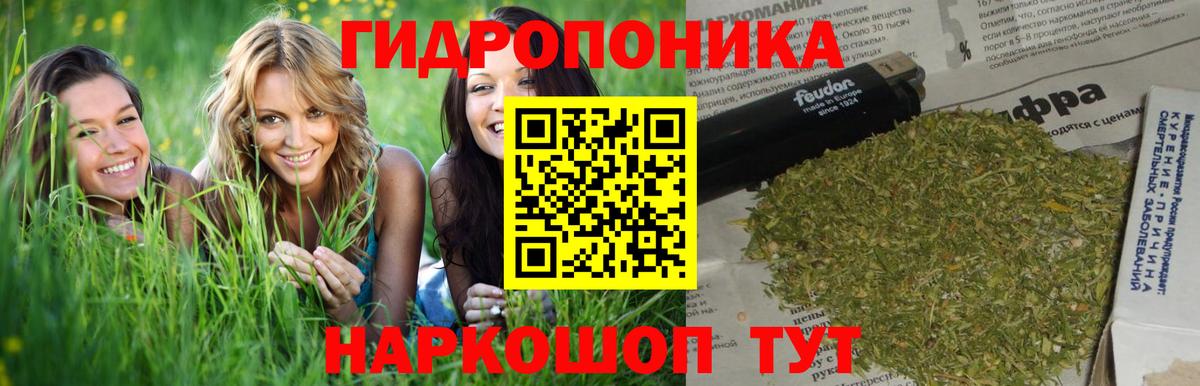 Бошки Шишки марихуана  Вход с VPN  Канабис тримм  Шишки марихуана Bruce Banner  Коряжма 